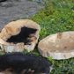 Natural Stone Dish