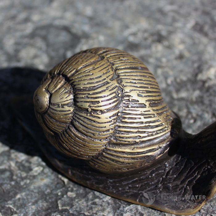Black Brass Snail