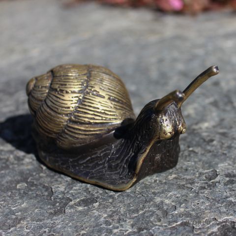 Black Brass Snail