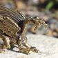 Brass Dragon