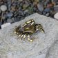 Brass Crab