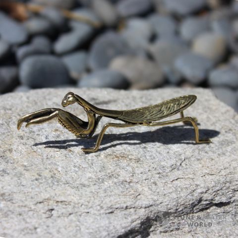 Brass Mantis