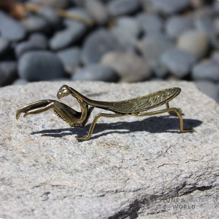 Brass Mantis