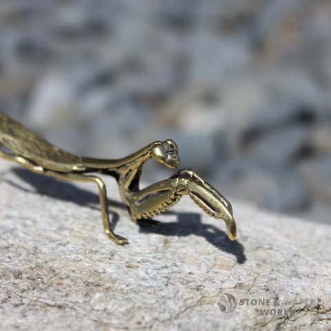 Brass Mantis
