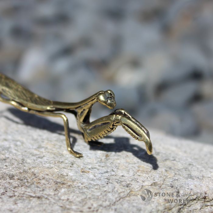 Brass Mantis