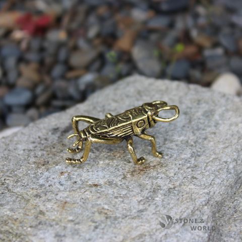 Brass Cricket