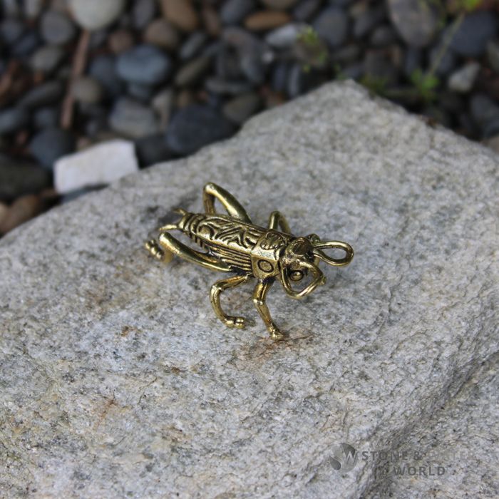 Brass Cricket