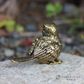 Brass Bird