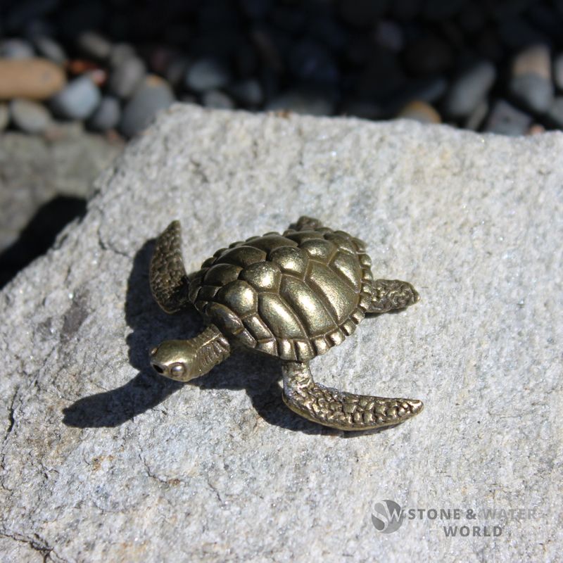 Brass Turtle
