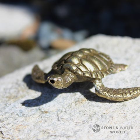 Brass Turtle