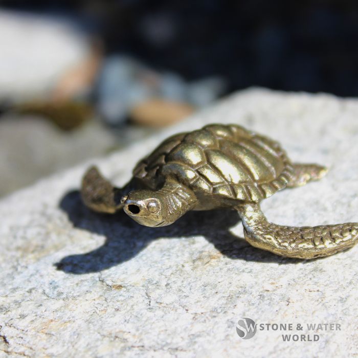Brass Turtle
