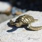 Brass Turtle