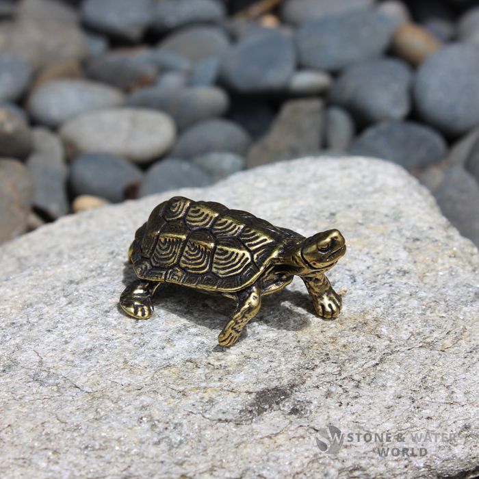 Brass Tortoise