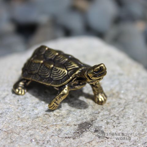Brass Tortoise