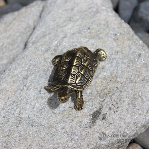 Brass Tortoise