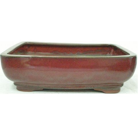 Bonsai Pot (300mm)