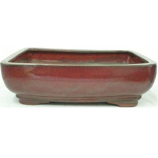 Bonsai Pot