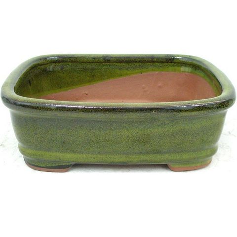 Bonsai Pot (200mm)