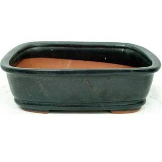 Bonsai Pot