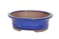 Bonsai Pot