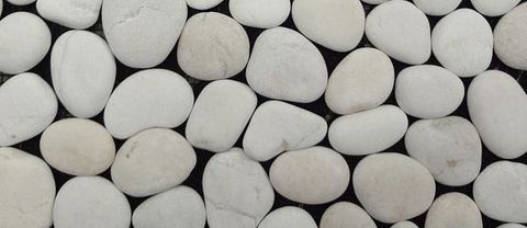 (Pebble) Moondance