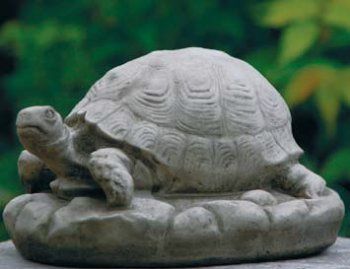 Tortoise