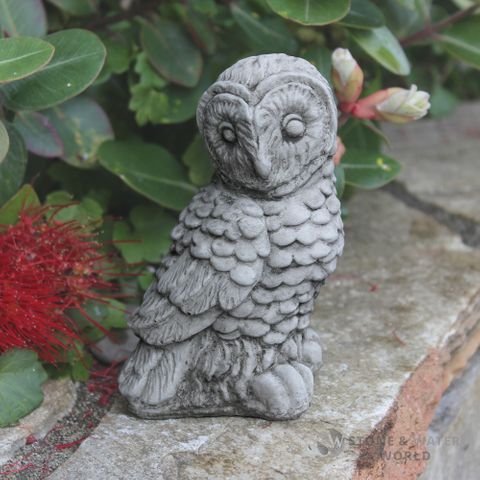 Midi Owl