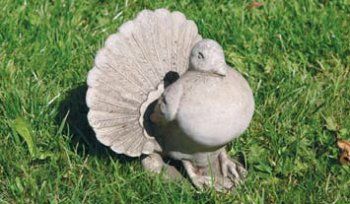 Dove with Open Tail