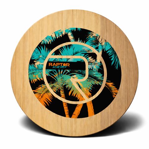 2027 VORTEX SKI DISC
