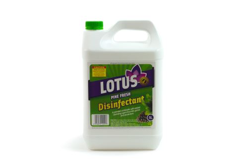 LOTUS PINE DISINFECTANT 5LT