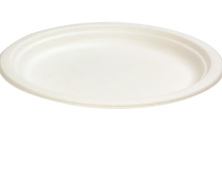 GREEN CHOICE SUGAR CANE DINNER PLATE 260MM (500)