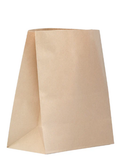 CHECKOUT KRAFT PAPER BAG - MED (250)