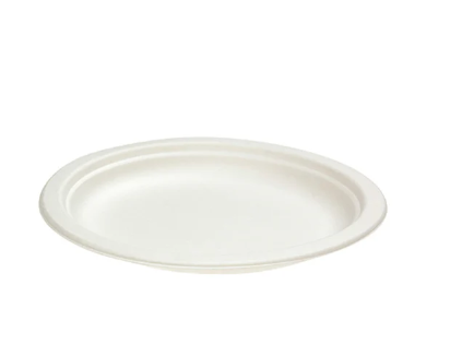 GREEN CHOICE SUGAR CANE DINNER PLATE 230MM (50)