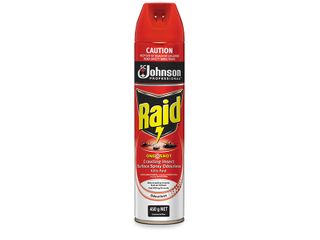 RAID RESIDUAL ONE SHOT FLY SPRAY 450GM