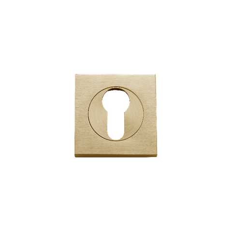 Sans-Arc Square Escutcheon Euro SB