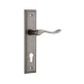 Stirling Stepped Door Lever