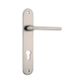 Baltimore Oval Door Lever