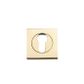 Iver Square Euro Escutcheon