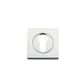 Iver Square Euro Escutcheon