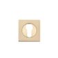 Iver Square Euro Escutcheon