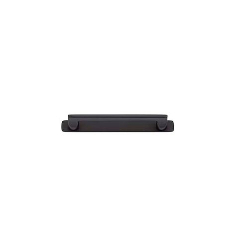 Baltimore Cabinet Pull on Backplate 160