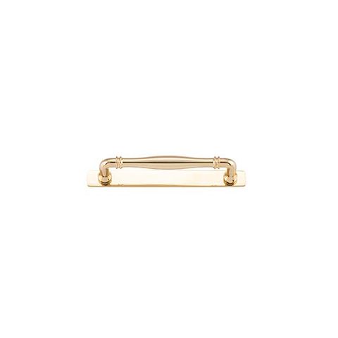Sarlat Cabinet Pull on Backplate 160 PB