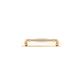 Sarlat Cabinet Pull on Backplate