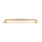 Sarlat Cabinet Pull on Backplate