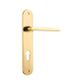 Baltimore Oval Door Lever