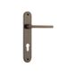 Baltimore Oval Door Lever