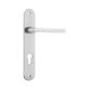 Baltimore Oval Door Lever