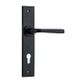 Annecy Chamfered Door Lever