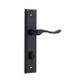 Stirling Stepped Door Lever