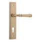 Verona Stepped Door Lever